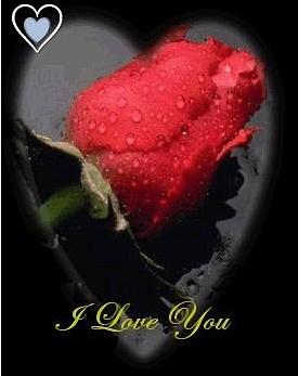 I love you