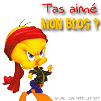 t'as aimé mon blog???