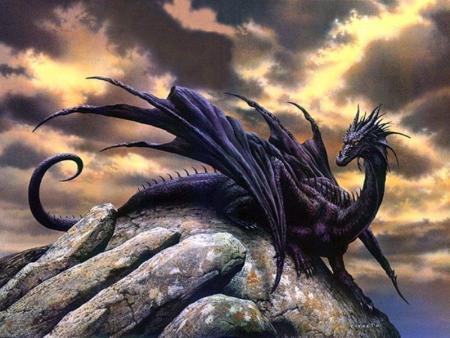 dragons