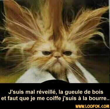 le réveil