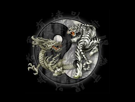 dragons - tigre