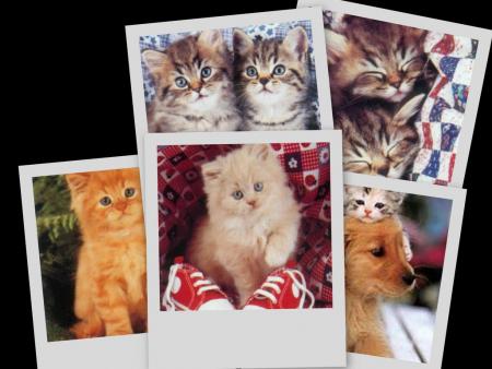 zolies photos !!!! ^^